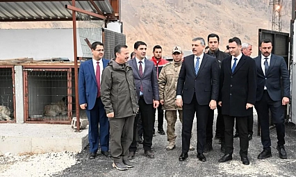 Hayvan bakımevlerinde sona yaklaşıldı