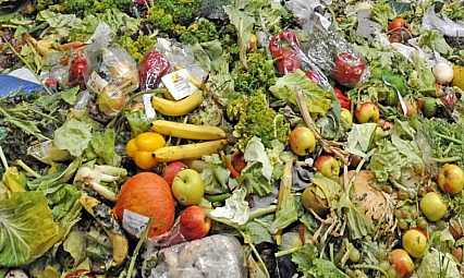 Her yıl 2,3 milyar ton gıda israf ediliyor!