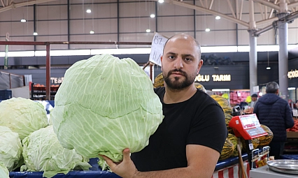 İklim değişikliği dev lahanaları vurdu, çiftçiler büyük hayal kırıklığına uğradı
