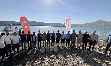 Ilısu Baraj Gölü'ne 800 bin yavru şabut balığı bırakıldı