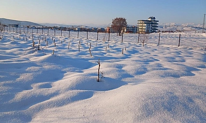 Kar yağışı çiftçiye umut oldu