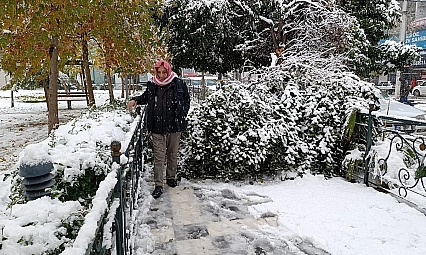 Kar yağışı nedeniyle ağaç devrildi