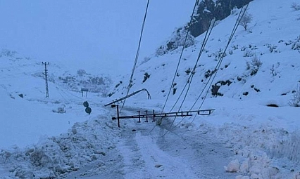 Kar yağışı nedeniyle devrilen elektrik direkleri yenilendi