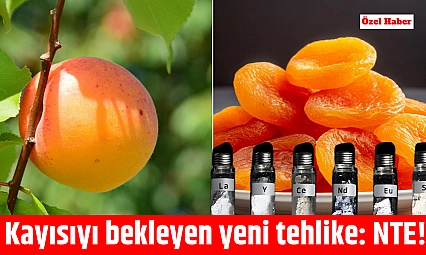 Kayısıyı bekleyen yeni tehlike: NTE!