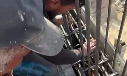 Kedi, dökülen betonun altında kalmaktan son anda kurtarıldı