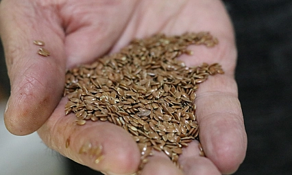 Kış aylarının vazgeçilmezi geleneksel omega-3 deposu! 9 bin yıldır şifa dağıtıyor...