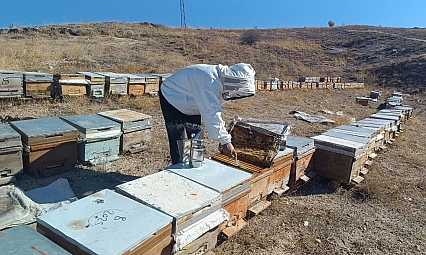 Kışa hazırlanan üreticiden sahte bal uyarısı