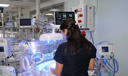 Küçük bedenleriyle büyük yaşam mücadelesi veriyorlar