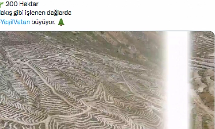 Malatya'da 200 hektar alan yeşile bürünüyor!