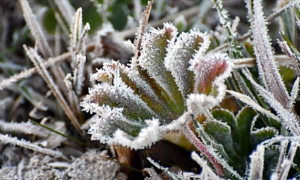 Malatya'da 22 Kasım'da hava nasıl olacak? Yağış ve rüzgar uyarısı var mı?