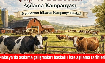 Malatya'da aşılama çalışmaları başladı! İşte aşılama tarihleri