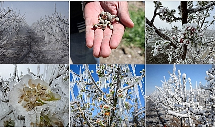 Malatya'da borcu olan çiftçiler dikkat! Artık verilmeyecek…