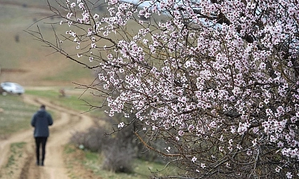 Malatya'da bugün hava nasıl olacak, yağış var mı?