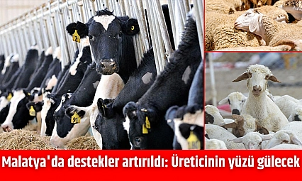 Malatya'da destekler artırıldı: Üreticinin yüzü gülecek