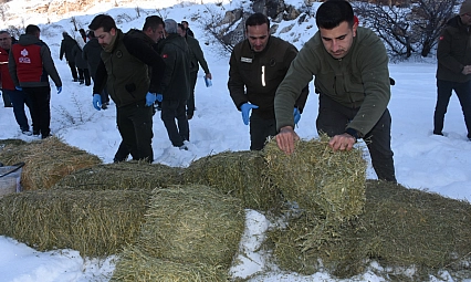 Malatya'da ekipler sahada: Yaban hayvanları unutulmadı
