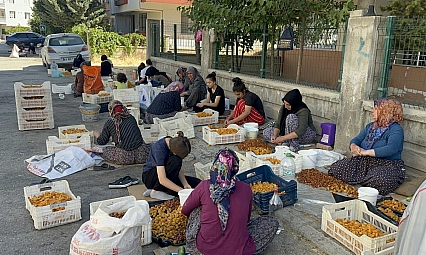 Malatya'da kasa başına 150 TL kazanacaklarken, ceza tehdidiyle karşılaştılar