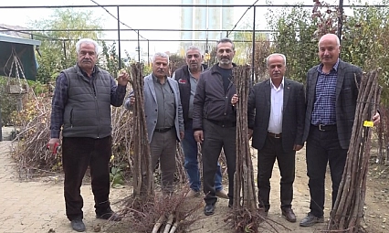 Malatya'da kayısı fidanı 125 TL'den satılmaya başlandı