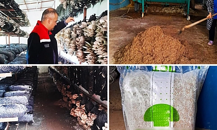 Malatya'da mantar üretim tesisleri denetlendi