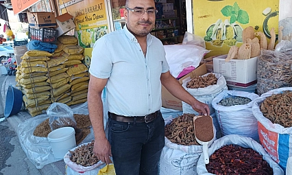 Malatya'da sumak hasadı başladı: Kilosu 350 TL'den alıcı buluyor