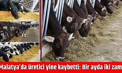 Malatya'da üretici yine kaybetti: Bir ayda iki zam!