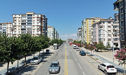 Malatya'da yeşil seferberlik: Kent genelinde binlerce ağaç toprakla buluştu