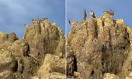 Malatya Doğal Yaşamı Koruyan Bir Şehir