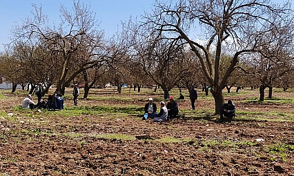 Malatya için merak edilen rapor yayımlandı…