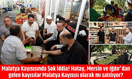 Hatay, Mersin ve Iğdır'dan gelen kayısılar Malatya Kayısısı olarak mı satılıyor?