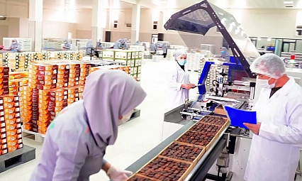 Malatya kayısısından 247 milyon dolarlık gelir