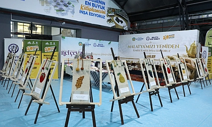 Malatya'nın 13 ilçesi halılarda hayat buldu