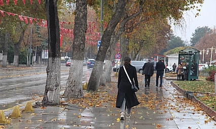 Malatya'ya kış erken geldi: Meteoroloji zirai don için uyardı…