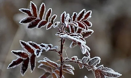Malatya'ya sis uyarısı: Göz gözü görmeyecek!