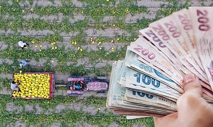 Malatyalı çiftçiye nefes aldıracak destek! Ödemeler başladı…