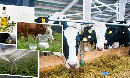 Malatyalı Üreticiye Can Suyu: 2 Milyar TL Hesaplara Aktarıldı…