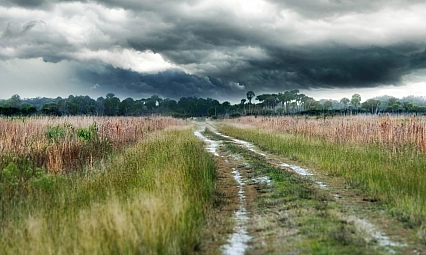 Malatyalılar dikkat! Gün boyu yağış bekleniyor…