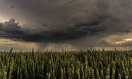 Malatyalılar dikkat! Gün boyu yağış bekleniyor…