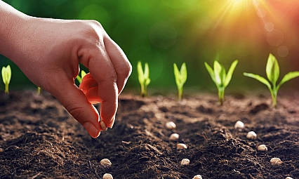 Malatyalılar hesaplarınız kontrol edin: 331 milyon TL'lik destek ödemeleri yatırıldı…