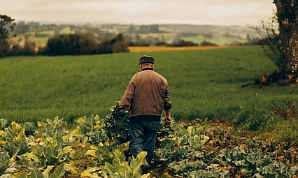 Malatyalılara son uyarı! 31 Aralık'ta sona erecek!