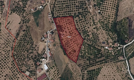 Meclis Onay Verdi: Tarım alanı ibadet alanına dönüştürülüyor