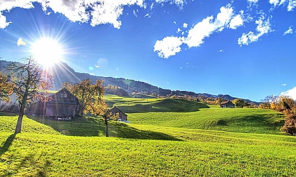 Meteoroloji uyardı: Malatya'da zirai don ve fırtına geliyor!