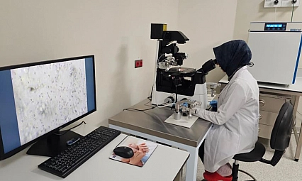 Mikro-TESE yönteminde büyük başarı