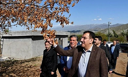 Malatyalı vekilden zirai don açıklaması