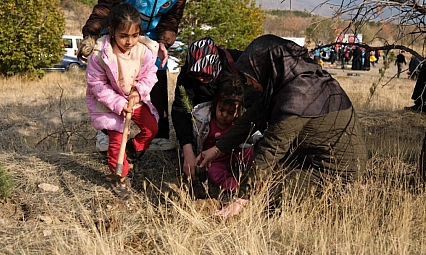 Milli Ağaçlandırma Günü'nde fidanlar toprakla buluştu