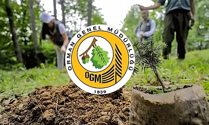 Orman Genel Müdürlüğüne Personel Alımı İçin Geri Sayım Başladı: Mühendis, Şoför ve Büro Memurları Başvuru Yapabilecek...