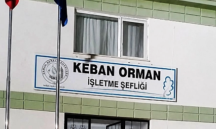 Orman yangınları için kritik günler: Yetkililerden peş peşe uyarı
