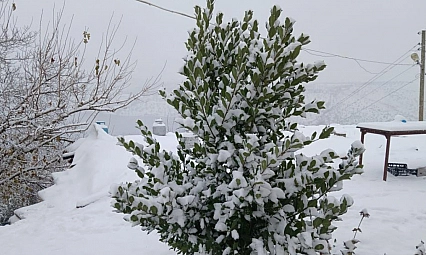 Pütürge beyaza büründü! Kartpostallık görüntüler ortaya çıktı