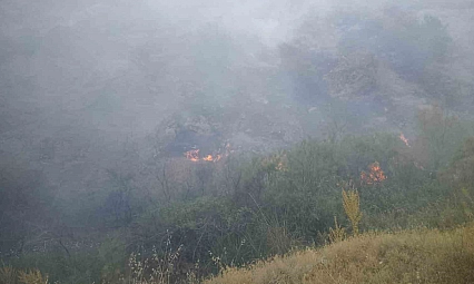 Malatya'da Orman Yangını! Pütürge'de Alevlere Karadan Müdahale Sürüyor