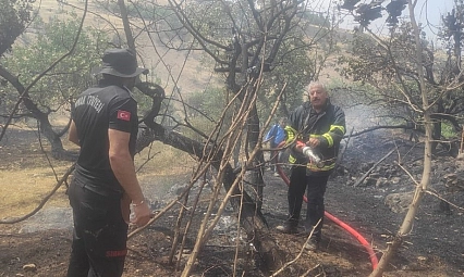 Şırnak 2025'te rekor kırdı