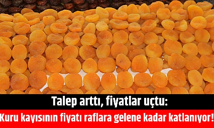 Talep arttı, fiyatlar uçtu: Kuru kayısının fiyatı raflara gelene kadar katlanıyor!