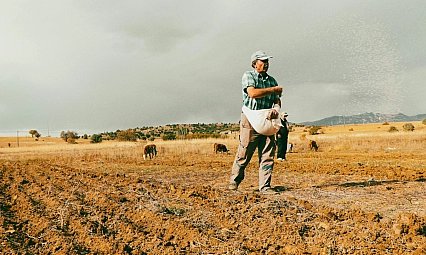 Üreticilere kritik uyarı! Tohumlara dikkat!